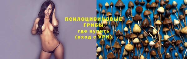 ГАЛЛЮЦИНОГЕННЫЕ ГРИБЫ Абинск