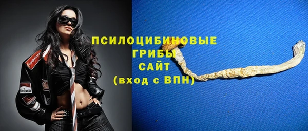 ГАЛЛЮЦИНОГЕННЫЕ ГРИБЫ Абинск