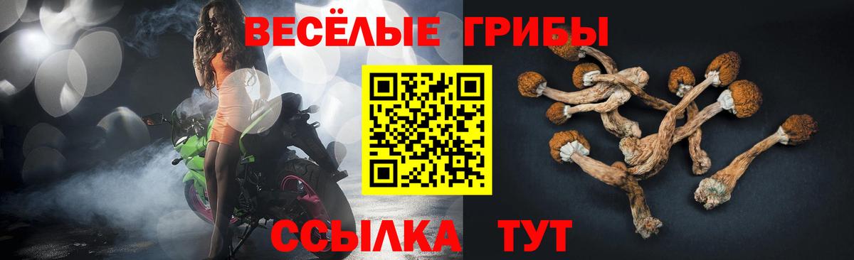 Краснокамск  Псилоцибиновые грибы ЛСД  Вход с VPN  Галлюциногенные грибы мицелий 